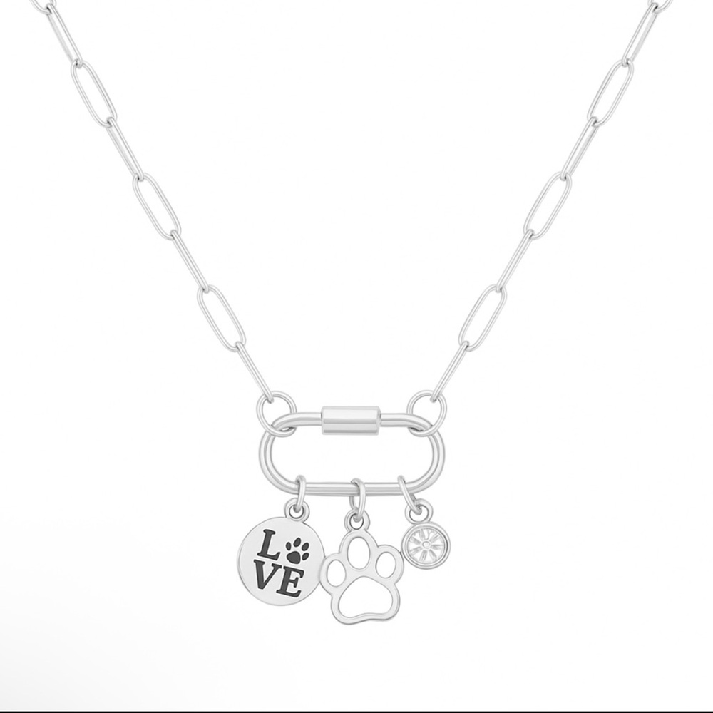Silver Paperclip Carabiner Charm Necklace for Pet Lovers🩶